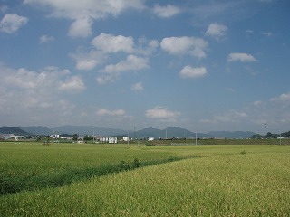 070905AM.jpg
